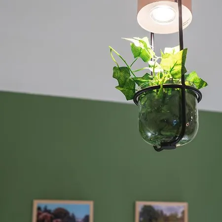 شقة Les Hortillonnages_b&b Inn_centre Ville_terrasse_wifi_netflix